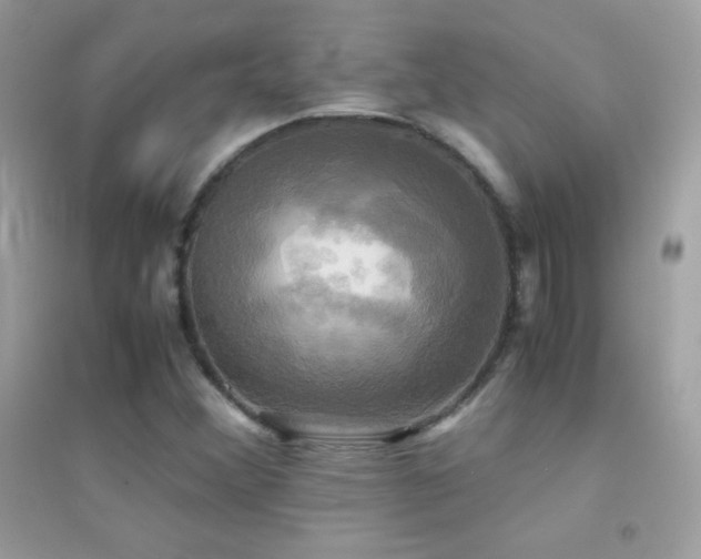 X0000095121356200712071231