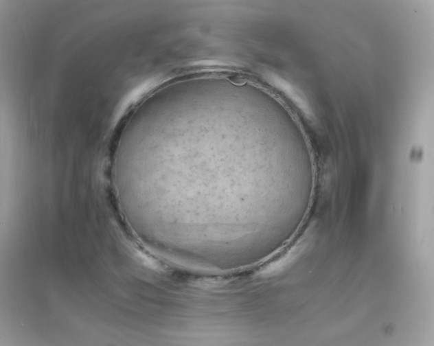 X0000095121357200712071231