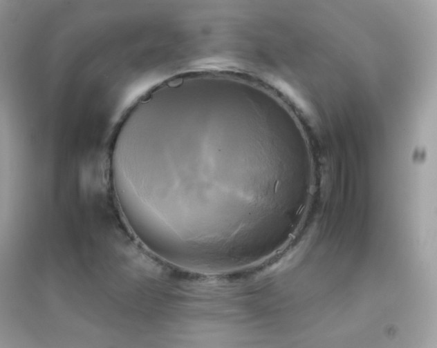 X0000095121358200712071231