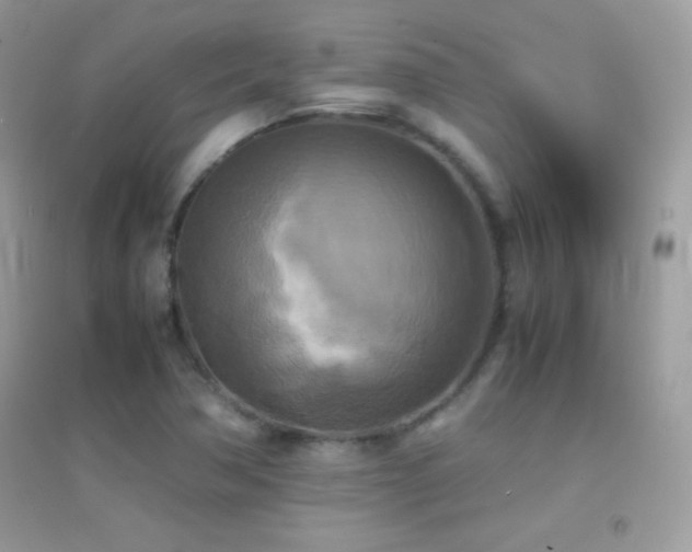 X0000095121362200712071230