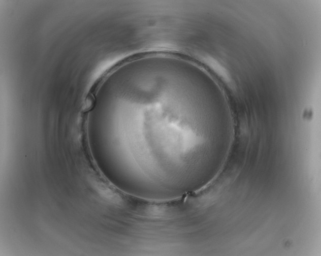 X0000095121364200712071230