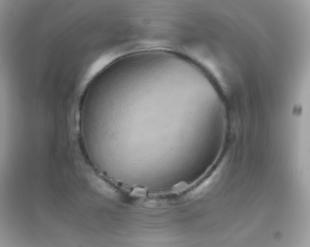 X0000095121365200712071230