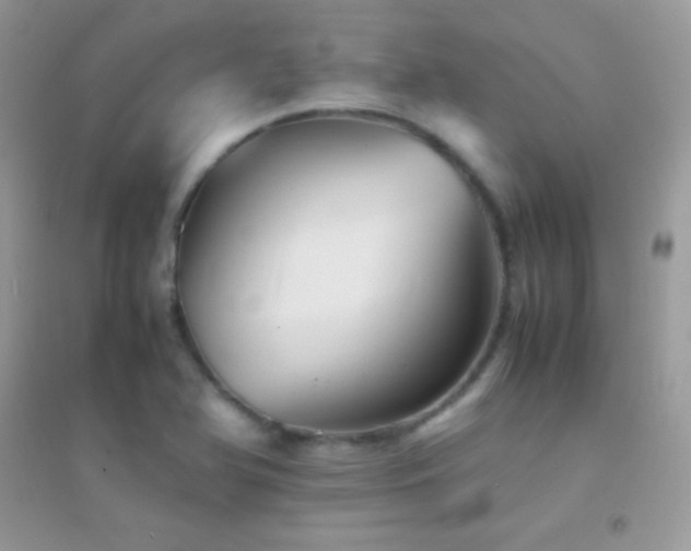 X0000095121366200712071230
