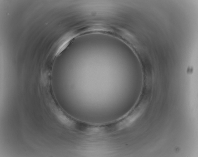 X0000095121369200712071230