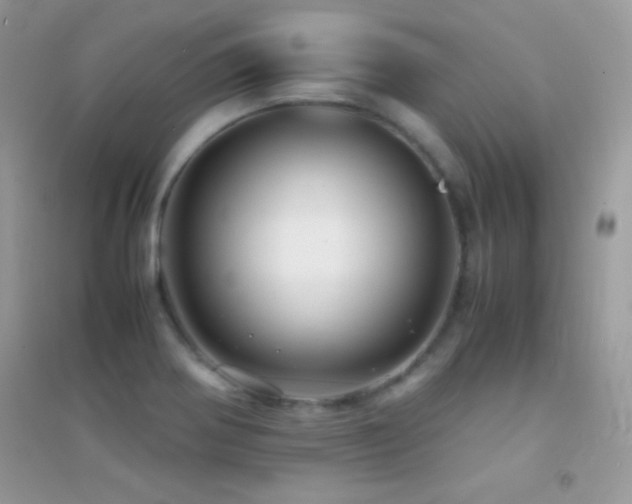 X0000095121370200712071230