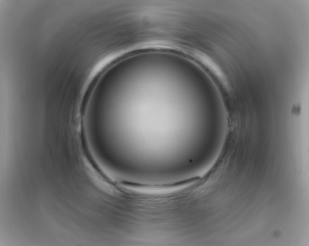 X0000095121372200712071230