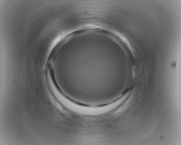 X0000095121373200712071230