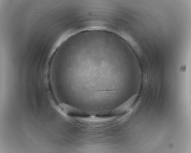 X0000095121374200712071230