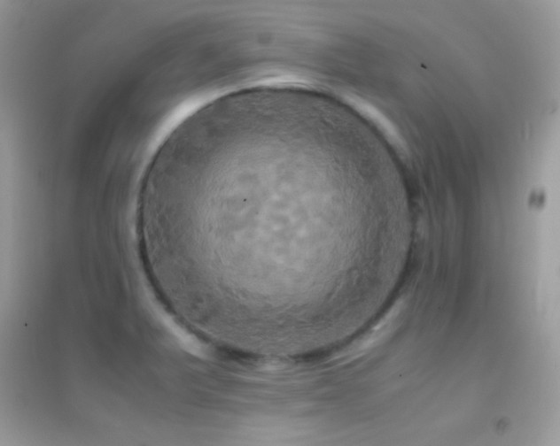 X0000095121375200712071230