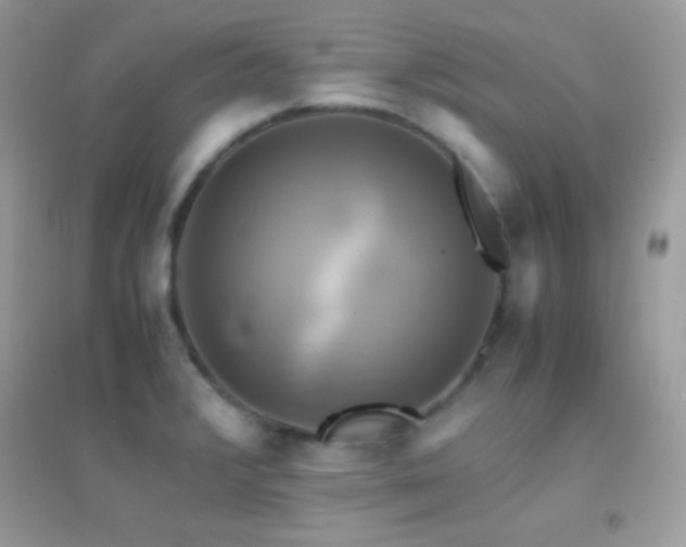 X0000095121376200712071230