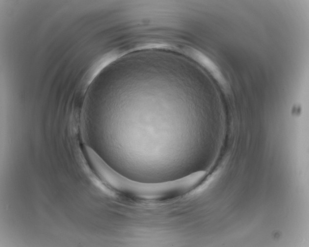 X0000095121377200712071230