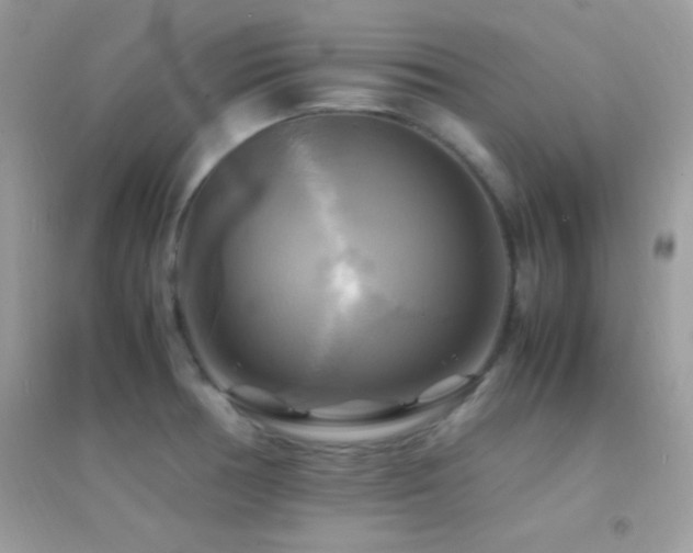 X0000095121378200712071230