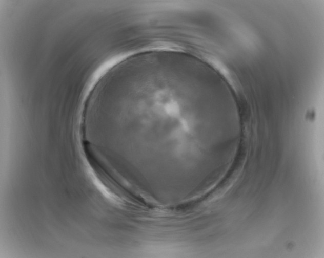 X0000095121379200712071230