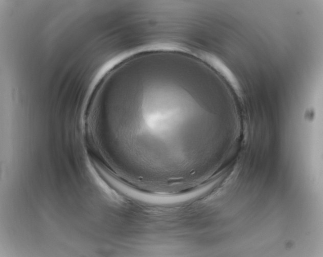 X0000095121380200712071230