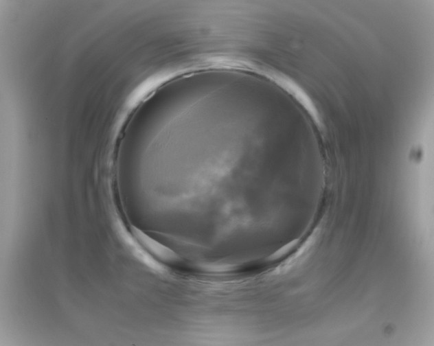 X0000095121381200712071230