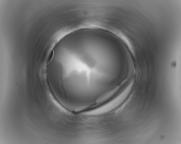 X0000095121382200712071230