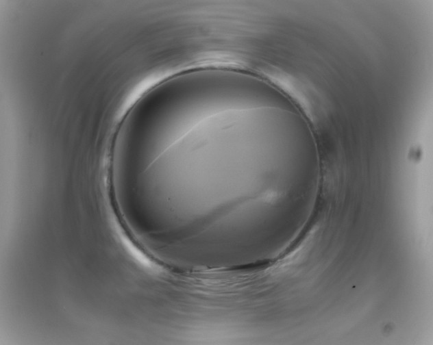 X0000095121383200712071230