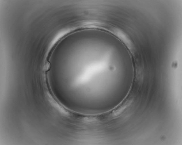 X0000095121384200712071230