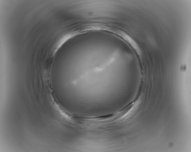 X0000095121385200712071230