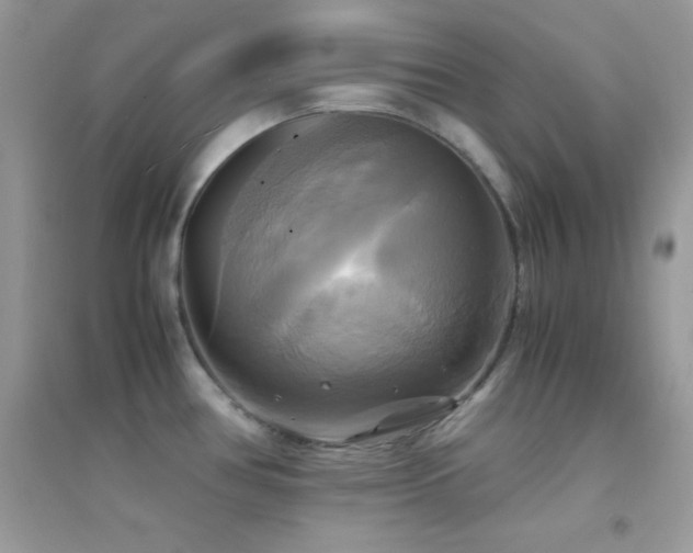 X0000095121386200712071230