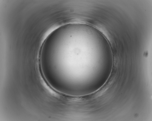 X0000095121387200712071230