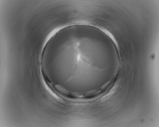 X0000095121389200712071230