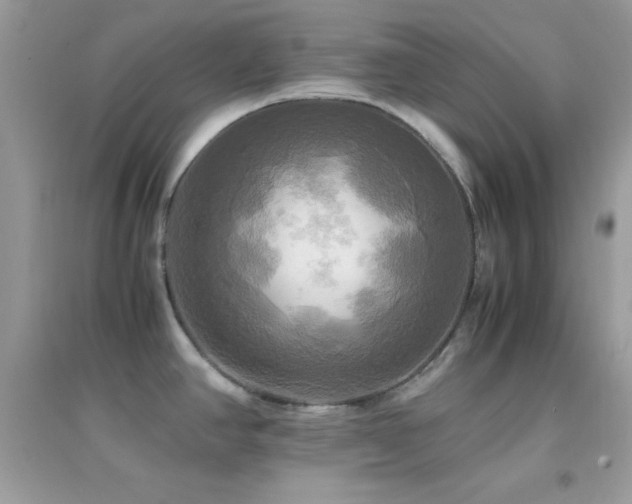 X0000095121390200712071230