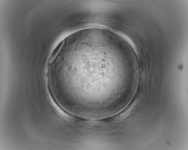 X0000095121391200712071230