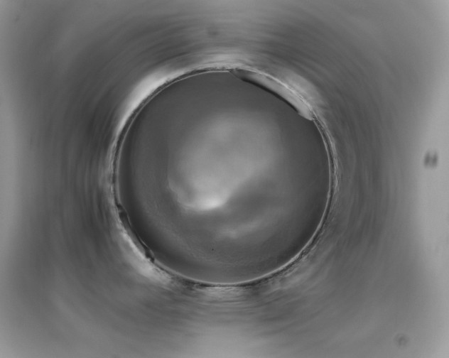 X0000095121392200712071230