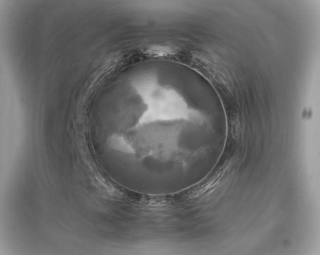 X0000095121393200712071229