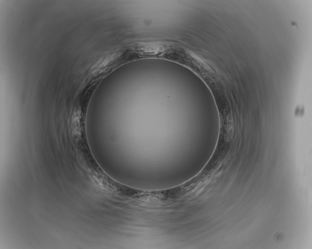 X0000095121394200712071229