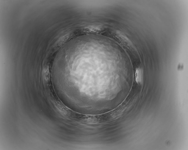 X0000095121395200712071229