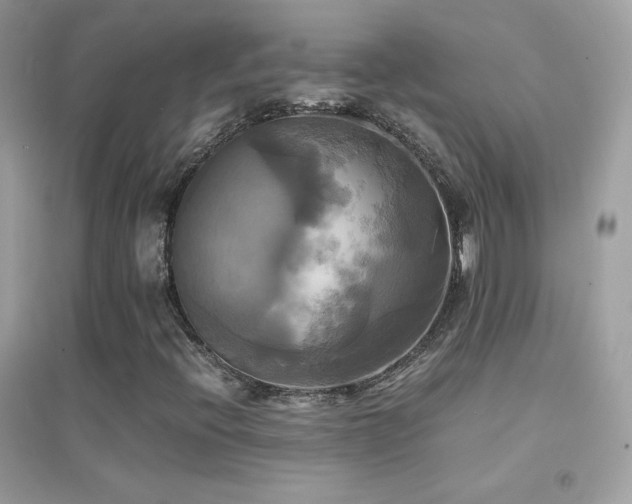 X0000095121396200712071229
