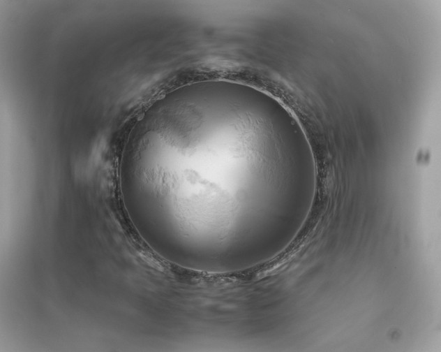 X0000095121397200712071229