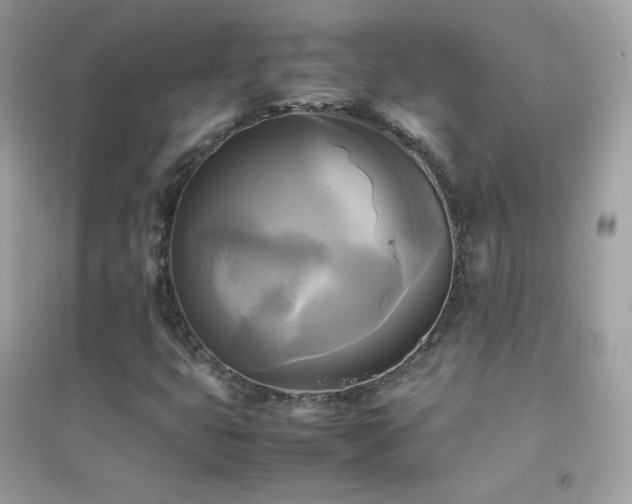 X0000095121399200712071229
