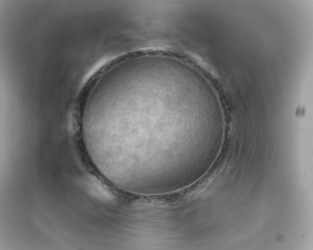 X0000095121400200712071229