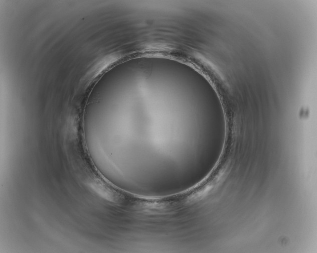 X0000095121401200712071229