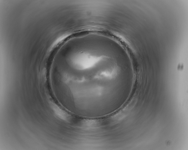 X0000095121402200712071230