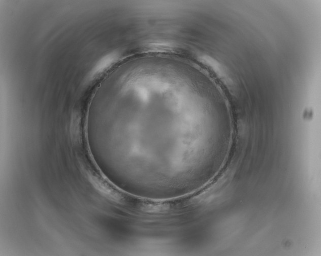 X0000095121403200712071230