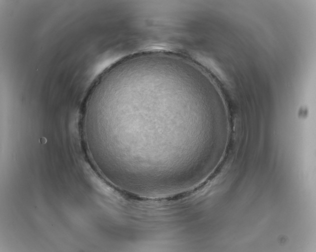 X0000095121404200712071230