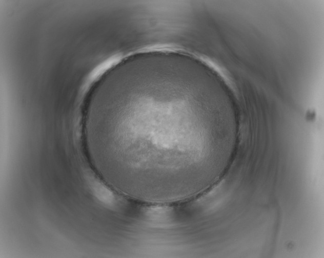 X0000095121406200712071230