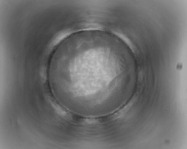 X0000095121407200712071230