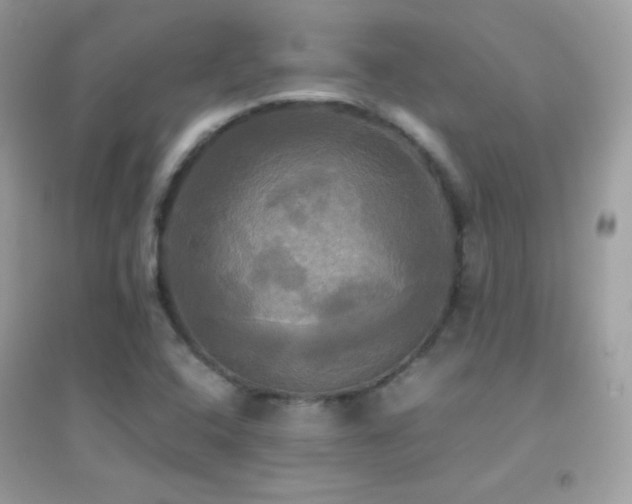 X0000095121408200712071230