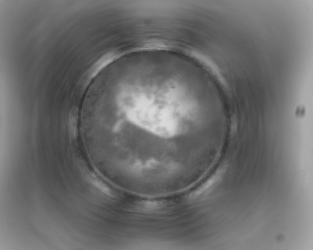X0000095121409200712071230