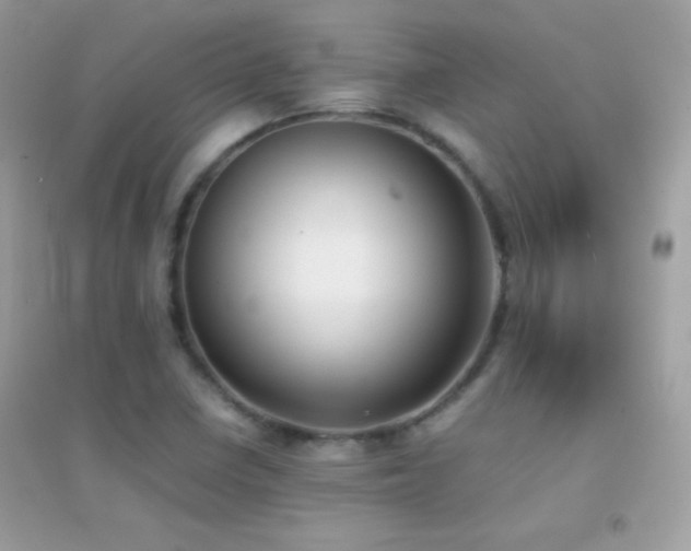 X0000095121410200712071230