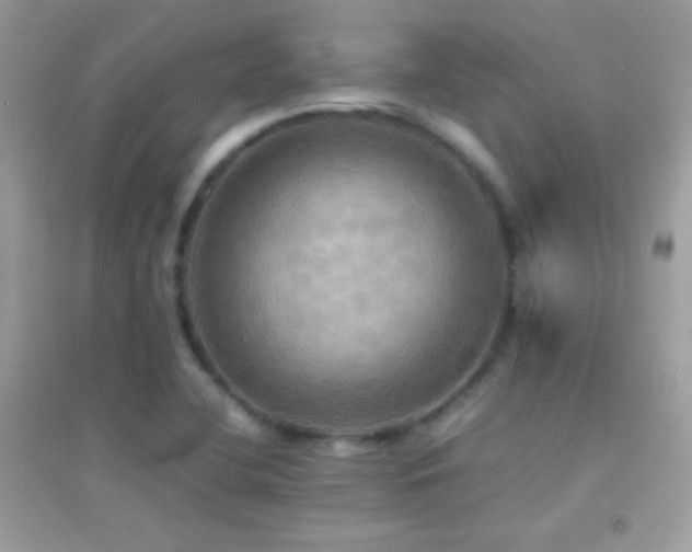 X0000095121412200712071230