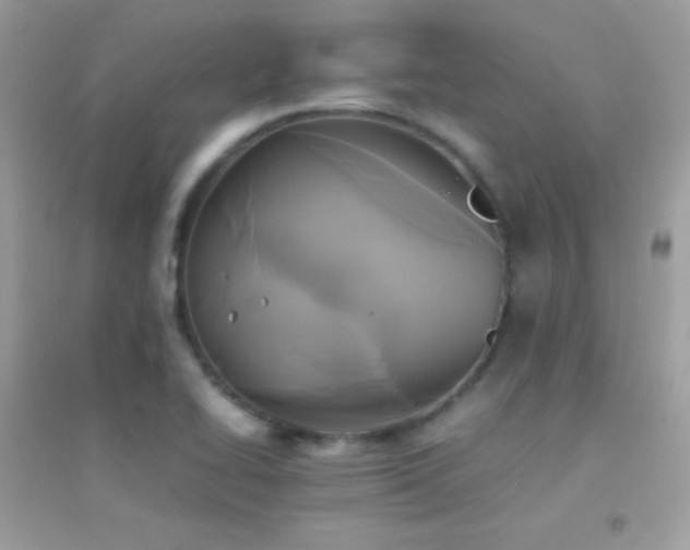 X0000095121414200712071230