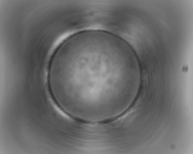 X0000095121416200712071230