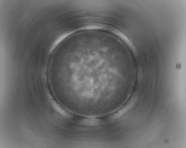 X0000095121417200712071230