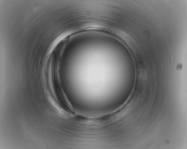X0000095121418200712071230